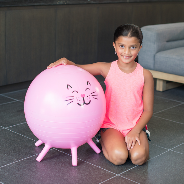 45cm Cat Stay and Play Ball Pink GoZone GoZone Canada
